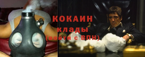 МДПВ Новозыбков